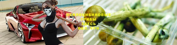 ГАЛЛЮЦИНОГЕННЫЕ ГРИБЫ Абдулино